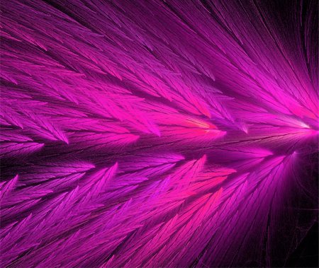 simsearch:400-04365296,k - Hot pink and purple colored feather fractal shaped similar to parrot wings. Stock Photo - Budget Royalty-Free & Subscription, Code: 400-04858240