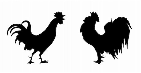 simsearch:400-04717615,k - vector silhouette of the cock on white background Foto de stock - Super Valor sin royalties y Suscripción, Código: 400-04858388