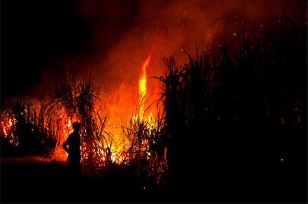 simsearch:400-04863533,k - Big fire on the farmland Photographie de stock - Aubaine LD & Abonnement, Code: 400-04858719
