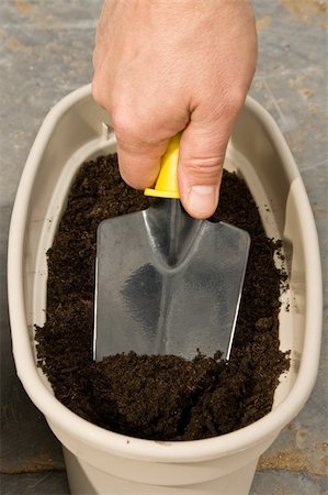 man's hand with a trowel digs in a planter to plant seeds Stock Photo - Budget Royalty-Free & Subscription, Code: 400-04858931