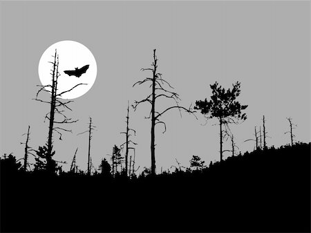 vector silhouette bat on moon background Photographie de stock - Aubaine LD & Abonnement, Code: 400-04859756