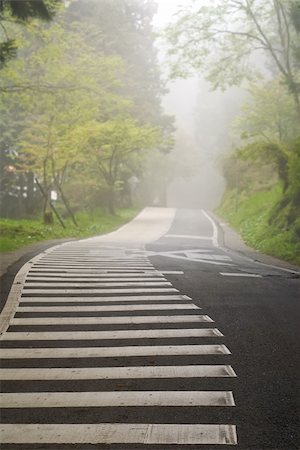 simsearch:400-05255892,k - Road with zebra stripes and trees in mist forest in Alishan National Scenic Area, Taiwan, Asia. Photographie de stock - Aubaine LD & Abonnement, Code: 400-04850217