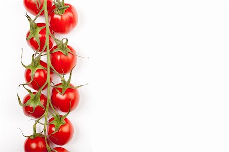 simsearch:400-04342669,k - some cherry tomatoes in a horizontal line on the stem leaving copyspace Stock Photo - Budget Royalty-Free & Subscription, Code: 400-04850245