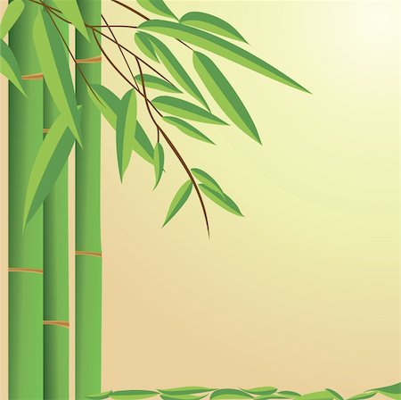 green small bamboo plant background Foto de stock - Super Valor sin royalties y Suscripción, Código: 400-04851144