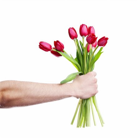 An image of an arm with red tulips Stock Photo - Budget Royalty-Free & Subscription, Code: 400-04851671