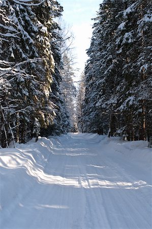 simsearch:400-04952029,k - Winter landscape with trees in frosty day Foto de stock - Royalty-Free Super Valor e Assinatura, Número: 400-04852323