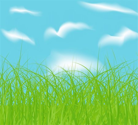 simsearch:400-05921307,k - vector spring green field and blue cloud sky Foto de stock - Super Valor sin royalties y Suscripción, Código: 400-04852699