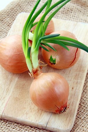 simsearch:400-04834620,k - Three growing onion bulbs with fresh green sprouts Stock Photo - Budget Royalty-Free & Subscription, Code: 400-04852714
