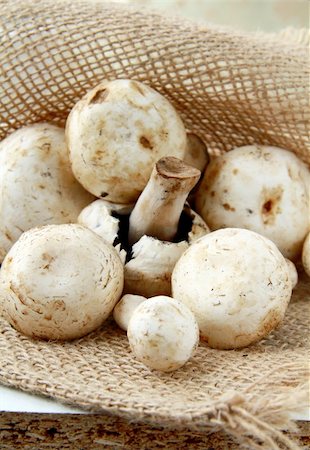 simsearch:400-05305223,k - fresh organic field mushrooms in a bag Stock Photo - Budget Royalty-Free & Subscription, Code: 400-04853006