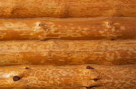 Log wall structure made from pine wood Stock Photo - Budget Royalty-Free & Subscription, Code: 400-04853708