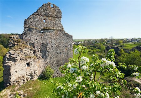 simsearch:400-05243959,k - Spring view of Castle ruins (Sydoriv village ,Ternopil Oblast, Ukraine). Foto de stock - Royalty-Free Super Valor e Assinatura, Número: 400-04864023