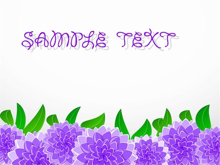 flower border design of rose - violet flower with blank space on white background Stock Photo - Budget Royalty-Free & Subscription, Code: 400-04865190