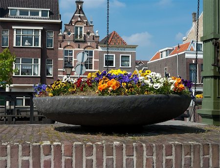 potted plants on stones - large planter with pansies in different colors in the streets of delfshaven, netherlands Stock Photo - Budget Royalty-Free & Subscription, Code: 400-04865526