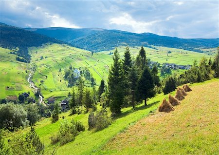 beautiful summer mountain and small village on mountainside (Carpathian. Ukraine) Stock Photo - Budget Royalty-Free & Subscription, Code: 400-04866521