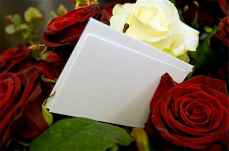simsearch:400-04486211,k - roses with blank card to fill out Stockbilder - Microstock & Abonnement, Bildnummer: 400-04867350