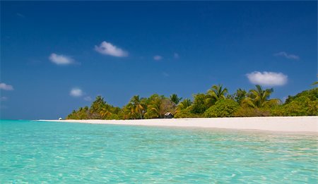 endhals (artist) - unspoit tropical beach Fotografie stock - Microstock e Abbonamento, Codice: 400-04867586