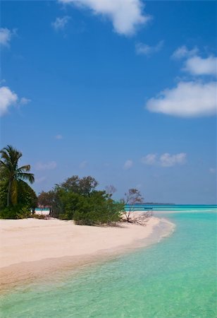 endhals (artist) - unspoilt tropical beach Fotografie stock - Microstock e Abbonamento, Codice: 400-04867587