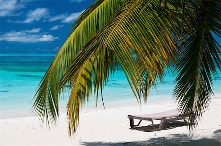 simsearch:622-08065280,k - tropical beach on the maldives Stock Photo - Budget Royalty-Free & Subscription, Code: 400-04867592