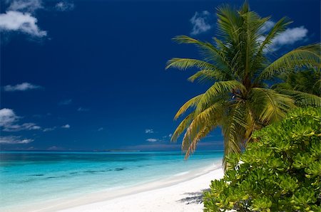 endhals (artist) - summertime on a tropical beach Fotografie stock - Microstock e Abbonamento, Codice: 400-04867593
