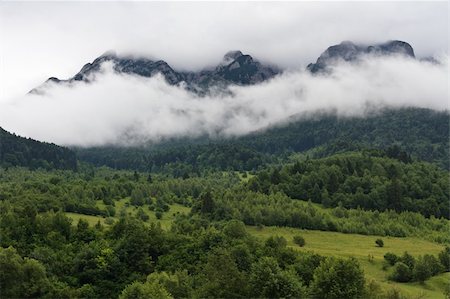 simsearch:400-07245923,k - a green forest and a mountain of clouds in the background Stock Photo - Budget Royalty-Free & Subscription, Code: 400-04867601