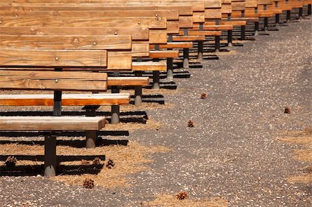 pine cone pattern - Outdoor Wooden Amphitheater Seating and Pine Cones and Pine Needles Abstract. Foto de stock - Super Valor sin royalties y Suscripción, Código: 400-04867633