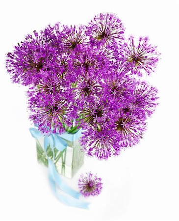 simsearch:633-01714006,k - Bouqet of Allium / beautiful flowers / isolated on white Foto de stock - Super Valor sin royalties y Suscripción, Código: 400-04867673