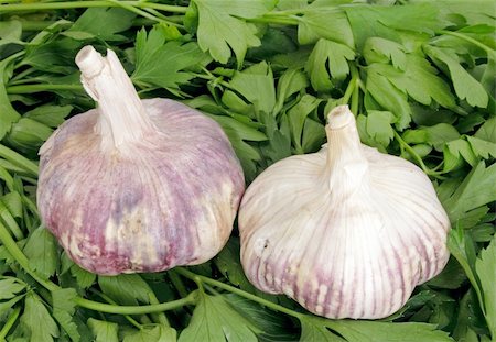 fmgk (artist) - Garlic and pasley as bacground Stock Photo - Budget Royalty-Free & Subscription, Code: 400-04868001