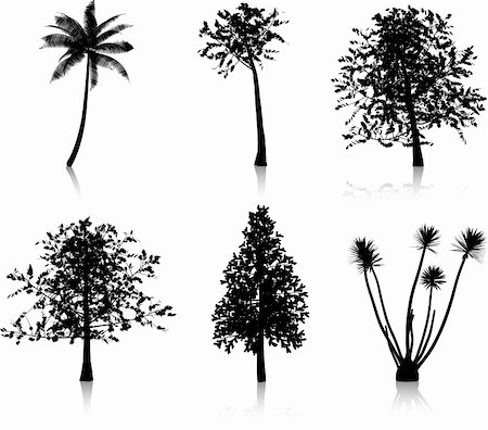 Collection of six different tree silhouettes Stock Photo - Budget Royalty-Free & Subscription, Code: 400-04868189