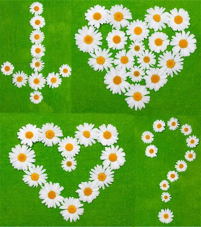 Daisywheels on green background in the manner of arrows and heart Stock Photo - Budget Royalty-Free & Subscription, Code: 400-04868240