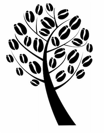 Vector illustration of a coffee tree with coffee beans Stock Photo - Budget Royalty-Free & Subscription, Code: 400-04868331