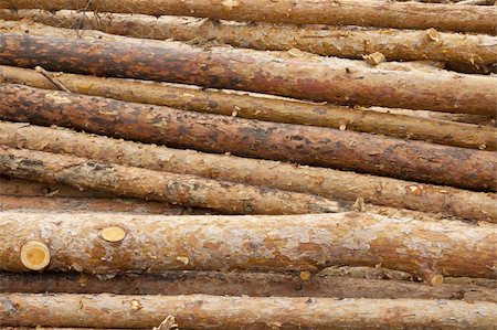 sägewerk - Tree trunks stacked in the open air Stockbilder - Microstock & Abonnement, Bildnummer: 400-04868675