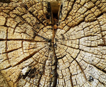 abstract closeup background with detail of old wood Stock Photo - Budget Royalty-Free & Subscription, Code: 400-04868786