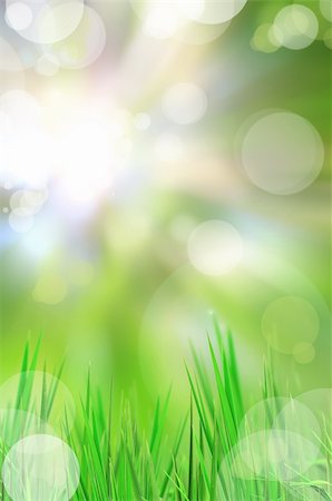 simsearch:400-05921307,k - abstract beautiful fresh grass and light reflect in morning Foto de stock - Super Valor sin royalties y Suscripción, Código: 400-04869732