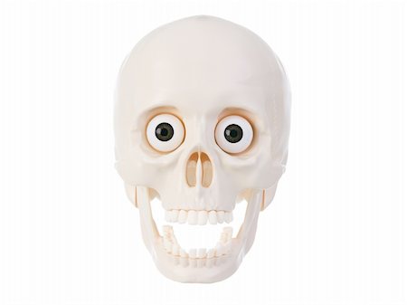 ericlefrancais (artist) - Plastic human skull  isolated on white background. Foto de stock - Super Valor sin royalties y Suscripción, Código: 400-04869853