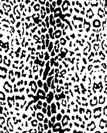 fashion leopard skin pattern Photographie de stock - Aubaine LD & Abonnement, Code: 400-04869965