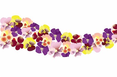 colorful beautiful blossom bright pansy (close up) Stock Photo - Budget Royalty-Free & Subscription, Code: 400-04860313
