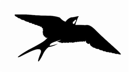 swallow silhouette tattoo - vector silhouette of the swallow on white background Stock Photo - Budget Royalty-Free & Subscription, Code: 400-04861139
