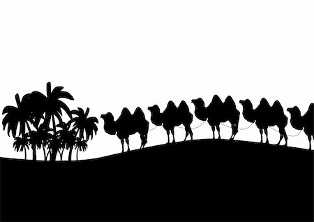 desert drawing - Black and white outline illustration which depicts a camel caravan Stock Photo - Budget Royalty-Free & Subscription, Code: 400-04862087