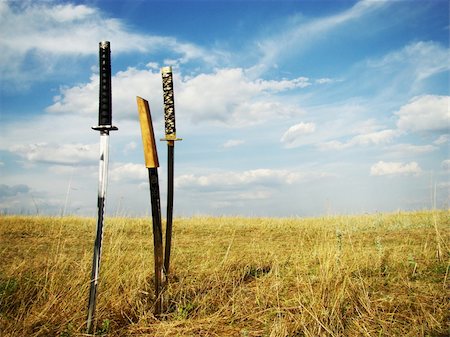 Boundless field with swords in the sky Stock Photo - Budget Royalty-Free & Subscription, Code: 400-04862240