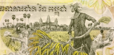 simsearch:400-05156209,k - Woman Harvesting Rice on 2000 Rieles 2007 Banknote from Cambodia. Stock Photo - Budget Royalty-Free & Subscription, Code: 400-04862841