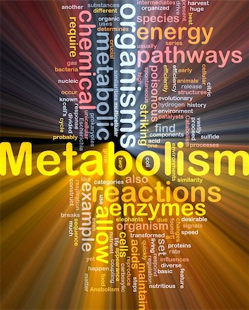 Background concept wordcloud illustration of Metabolism metabolic  glowing light Photographie de stock - Aubaine LD & Abonnement, Code: 400-04863061
