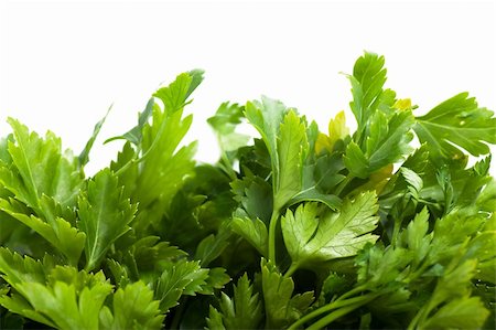 simsearch:400-04418942,k - Macro view of fresh green parsley leaves Stockbilder - Microstock & Abonnement, Bildnummer: 400-04874664