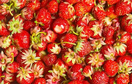 simsearch:400-06076486,k - heap red strawberries, tasty background Foto de stock - Royalty-Free Super Valor e Assinatura, Número: 400-04874763