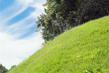 Having watered lawns in the afternoon Stock Photo - Budget Royalty-Free & Subscription, Code: 400-04875618