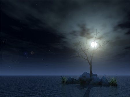 dark moon with clouds - dead tree at night - 3d illustration Stock Photo - Budget Royalty-Free & Subscription, Code: 400-04875622