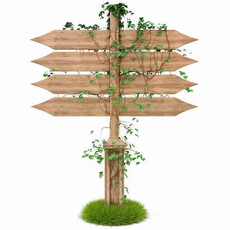 simsearch:400-04875633,k - wooden signpost with ivy. isolated on white. with clipping path. Stock Photo - Budget Royalty-Free & Subscription, Code: 400-04875637