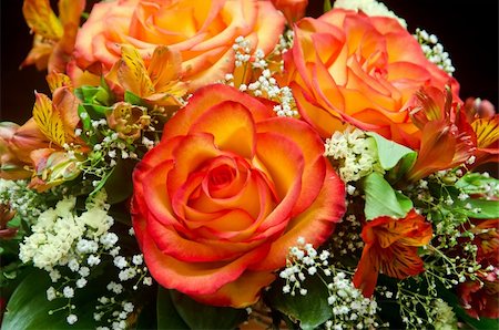 simsearch:400-05159216,k - closeup of vibrant orange roses flower bouquet Stock Photo - Budget Royalty-Free & Subscription, Code: 400-04875850