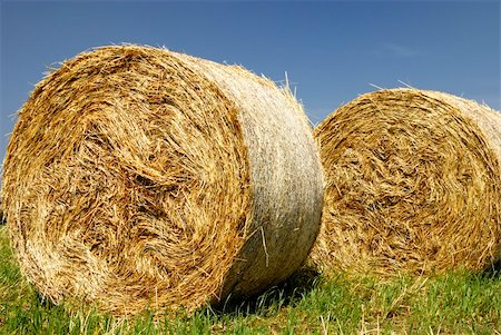 paolikphoto (artist) - Bales of hay in the fields Stock Photo - Budget Royalty-Free & Subscription, Code: 400-04876204