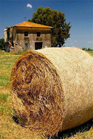 paolikphoto (artist) - Hay bale in the fields Stock Photo - Budget Royalty-Free & Subscription, Code: 400-04876456