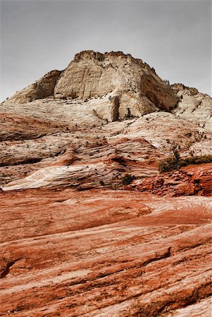 simsearch:400-08507169,k - Zion national park southern Utah USA Stockbilder - Microstock & Abonnement, Bildnummer: 400-04876622